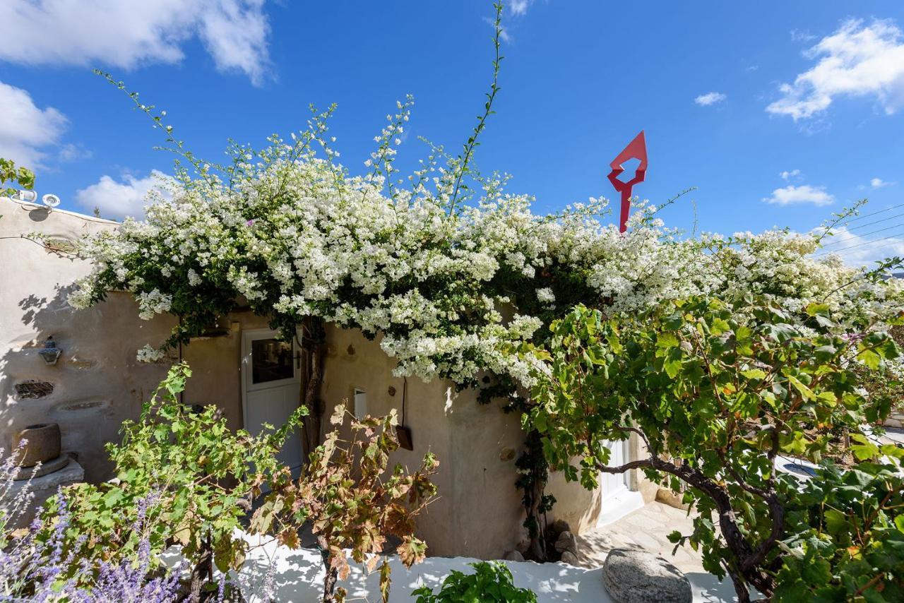 The Olive Mill Guest House Lefkes  Exteriör bild