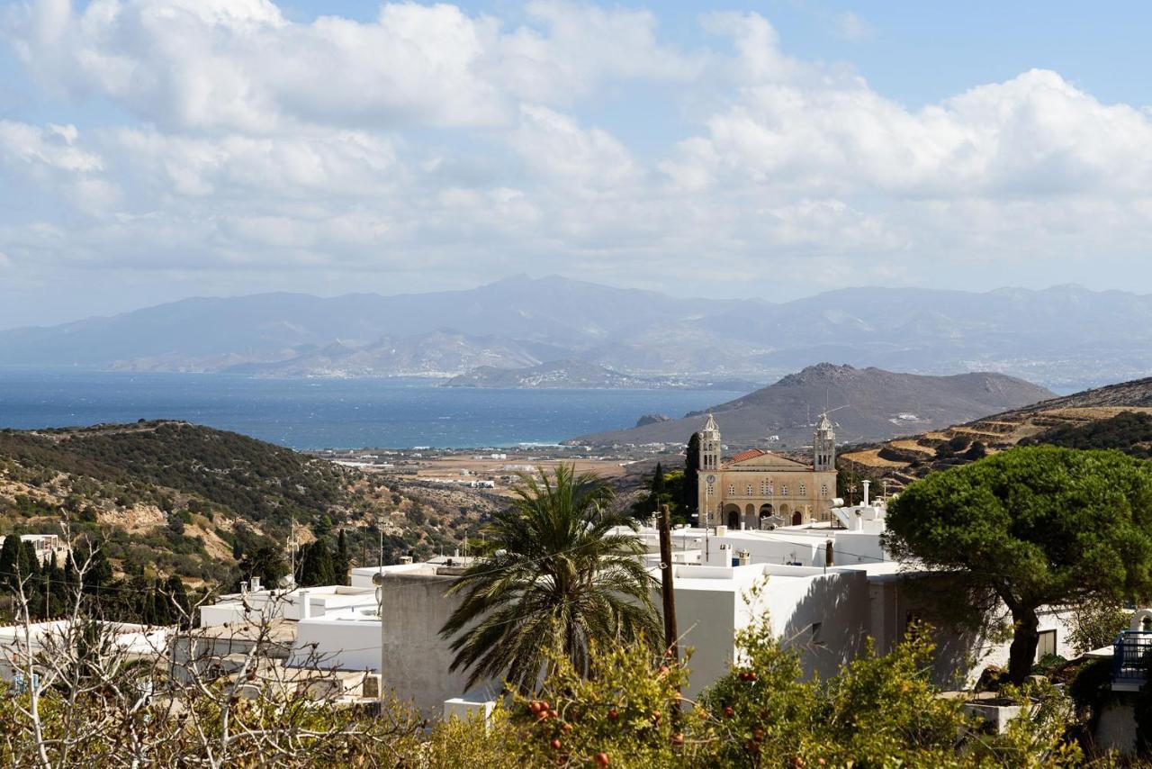 The Olive Mill Guest House Lefkes  Exteriör bild